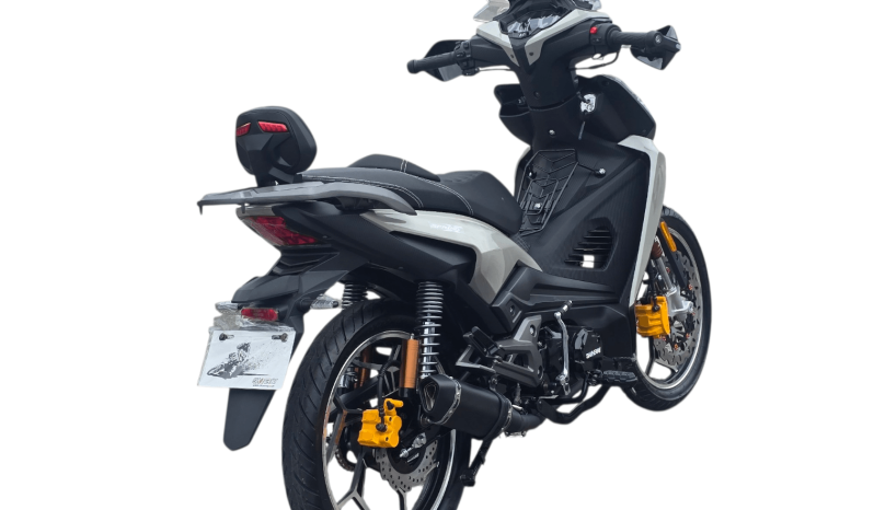 Shineray CUB 50 PREMIUM PAPAKI full