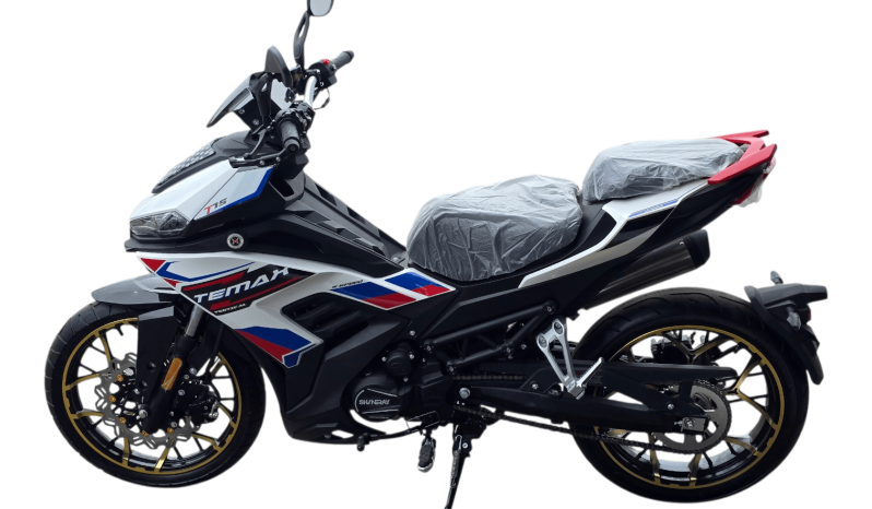 
								Shineray T-MAX T15 125 full									
