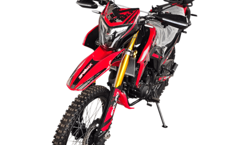 
								Shineray 250 VRX full									