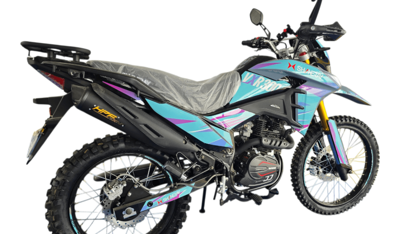 
								Shineray 300 VRX full									